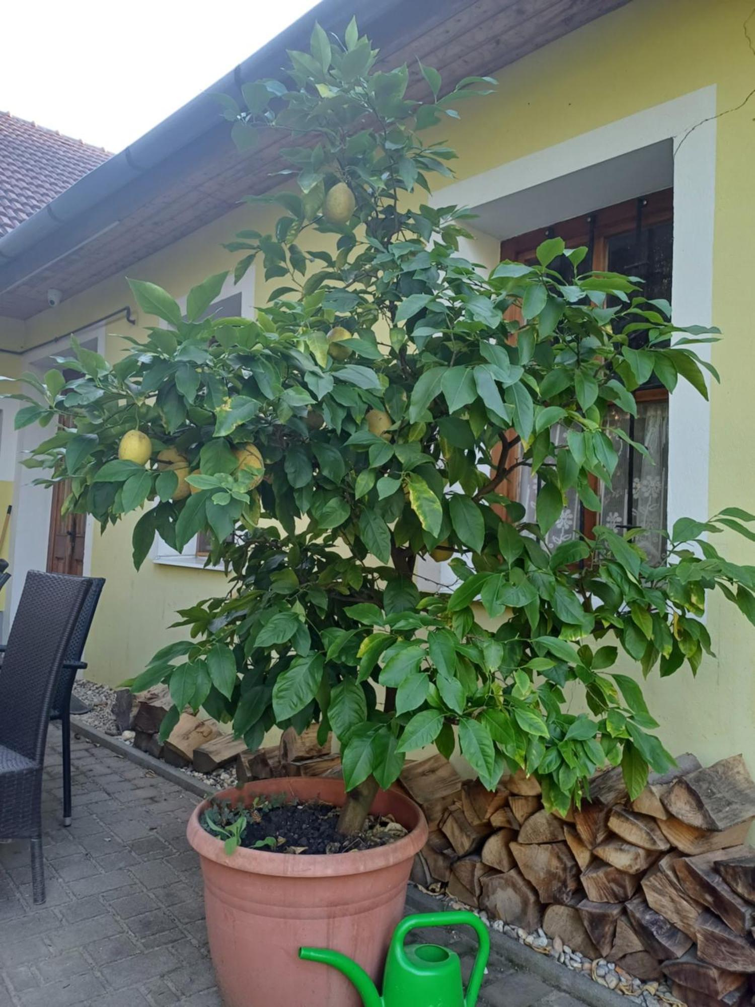 Zanati Apartmannhaz Nagykapornak Экстерьер фото